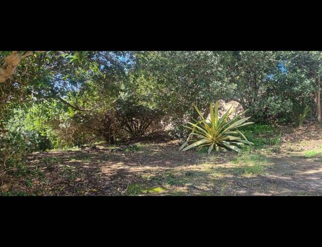 LAND FOR SALE IN GROOT BRAKRIVIER CENTRAL